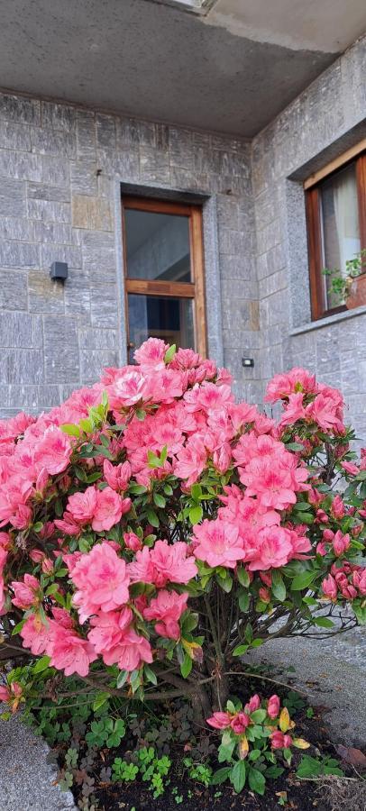 Villa La Serra บาเวโน ภายนอก รูปภาพ